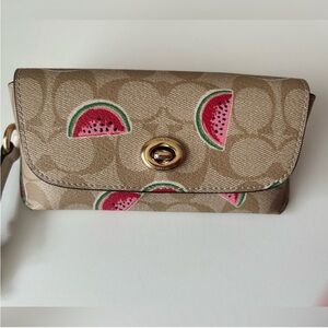 Coach watermelon print Sunglass case
